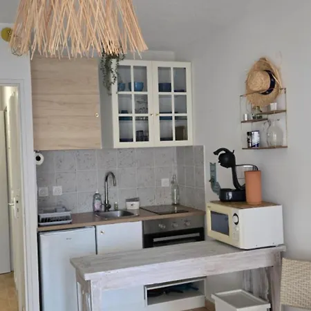 Avec Terrasse Proche Plages Le Lavandou