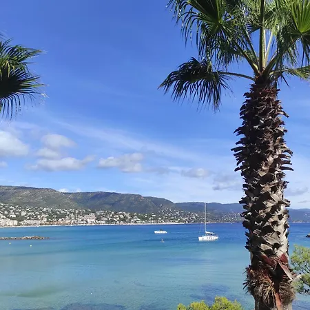Avec Terrasse Proche Plages * Le Lavandou