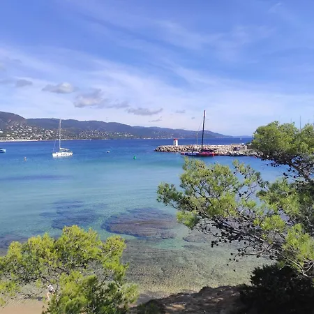Appartement Avec Terrasse Proche Plages Le Lavandou